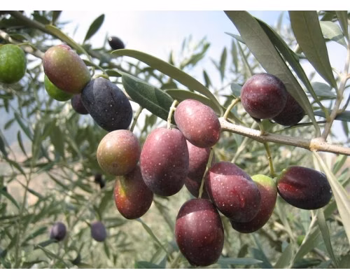 873403cb1c919d100e643c75dfcf5666