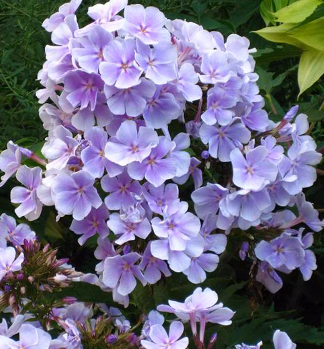 873456e8258662b733e6ba6baecf5e94