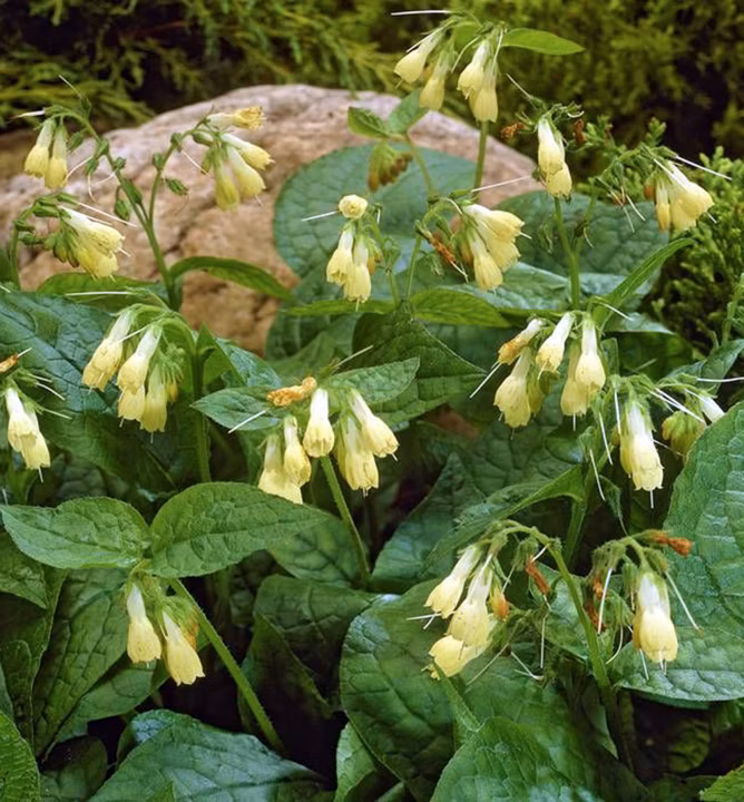 875256a14cf37ff5bb8744202e9ba9db