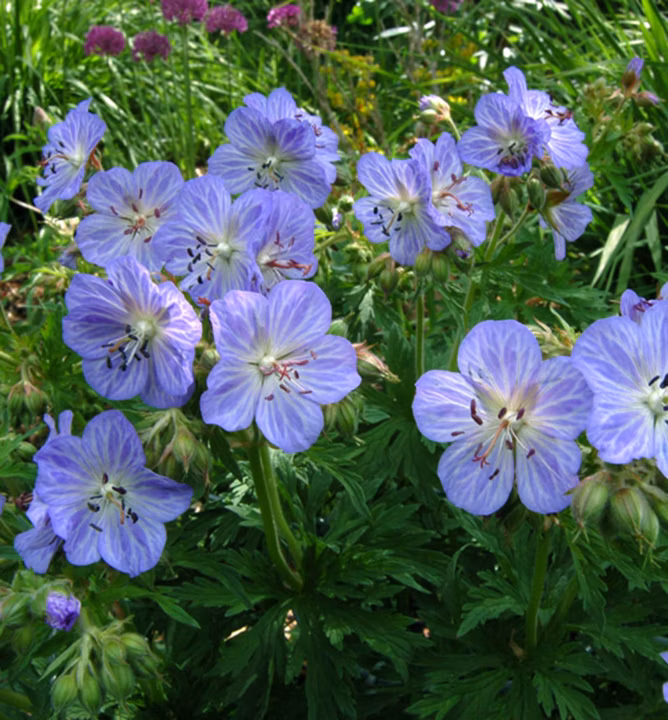 875389201ba41e8f072a6ffe701512dc