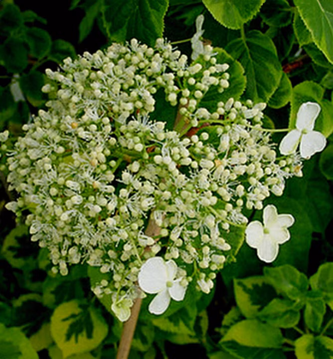 87954271756ccc57d45055590199fa46