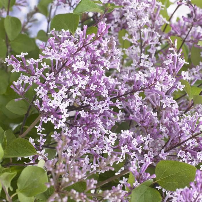 879a356ab7f2f996b158f3d0c1bfadd6