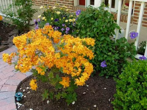 87bcc495b3ae28dc083ab91fb0476e2f