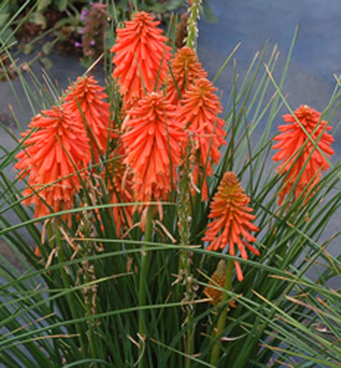 87d95e484f01db6b35d447aae22700bc