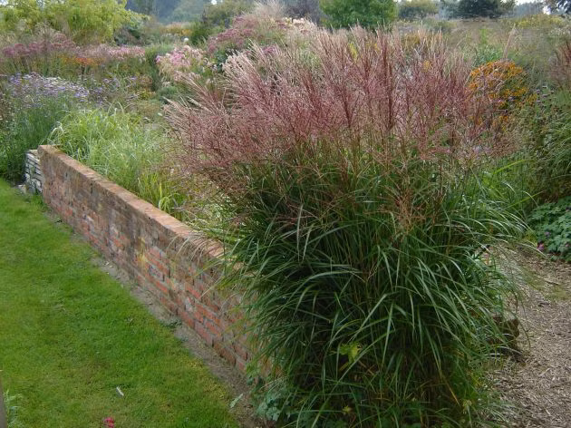 87fd78c23302e5f729fe67bef710f098