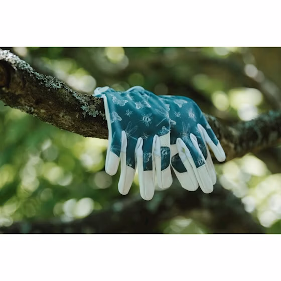 880b2e6cb659421e80c1012dce5b8d72