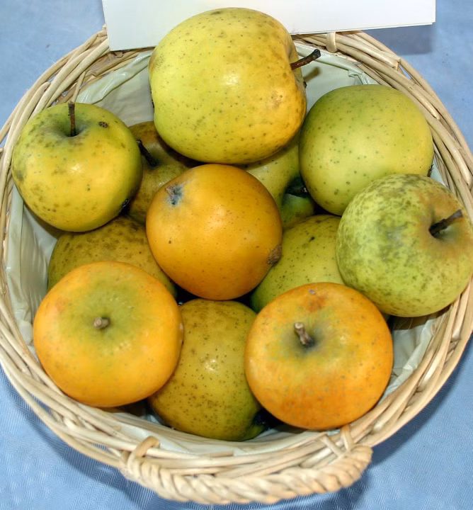 883abed22cd8f75c8fe5a5251b8678a8