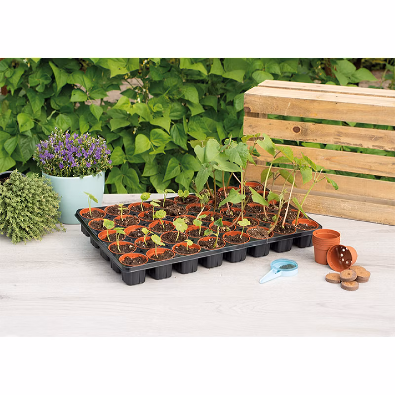 885c0ee9941200c19568d1924d0a3c00