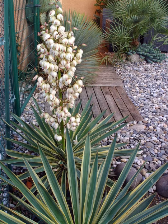 886a742b0bb4dbaa0aa46883b862b978