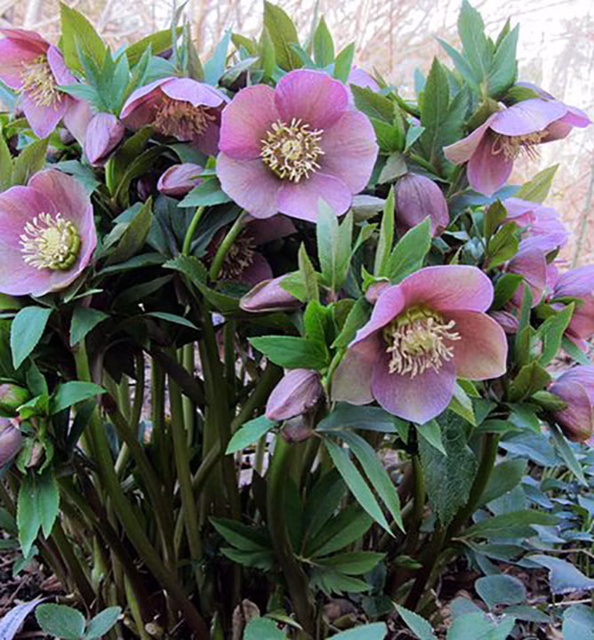 88aeb9817f2afba05c4f1fde7191d553