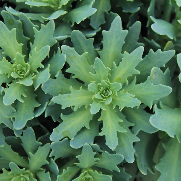 88d5c1c0cd81a9db9e2d832848e47399