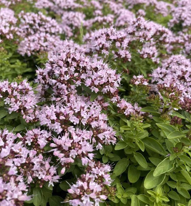 88e76ab18ee9351e7a126bf8791d61f5