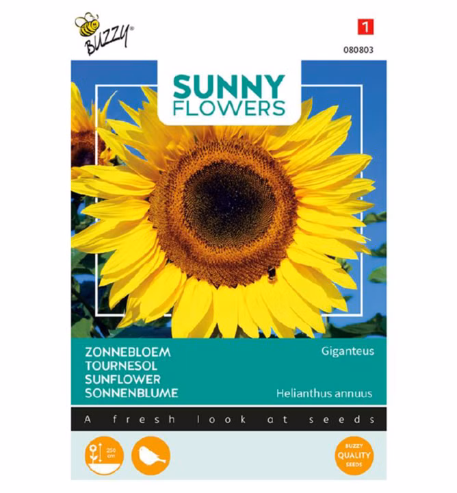 890447afc93117c86e8b968e77e6ac7c