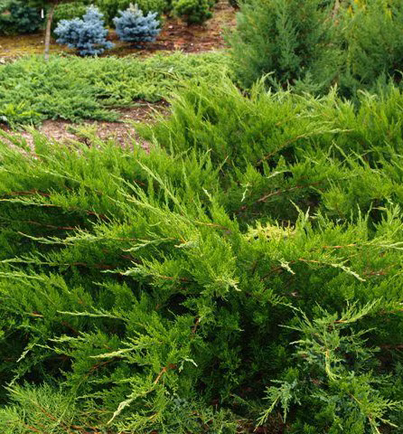 895788b9a2bfa5813b154c6ba042f203