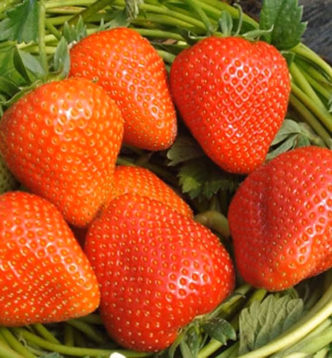 898f185616100260827a5fdd67c0a540