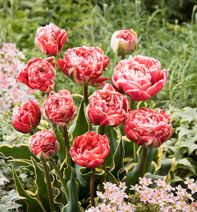 89c8d3c038a8bae59f01efca4e883b72