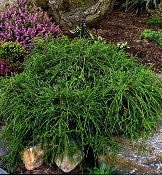 89ef68e1518d830021a2a72b4eb3dea9