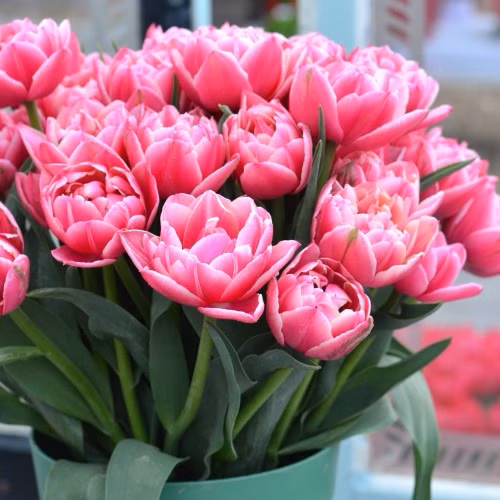 8a158a17b9113c033f865321f8092f3a