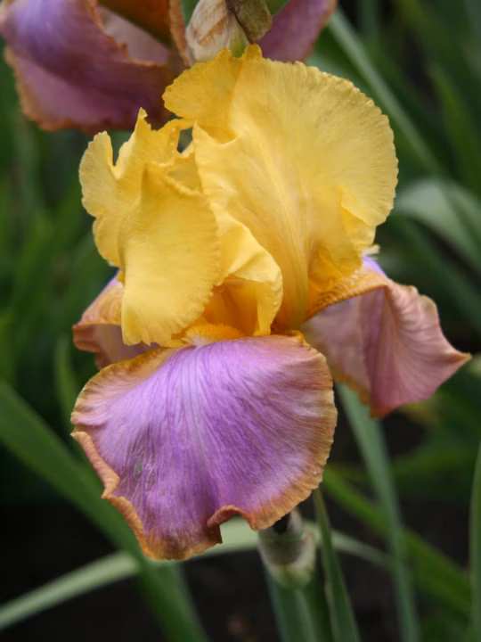 8a4736b1c2fb322882a0d965e25b1d40