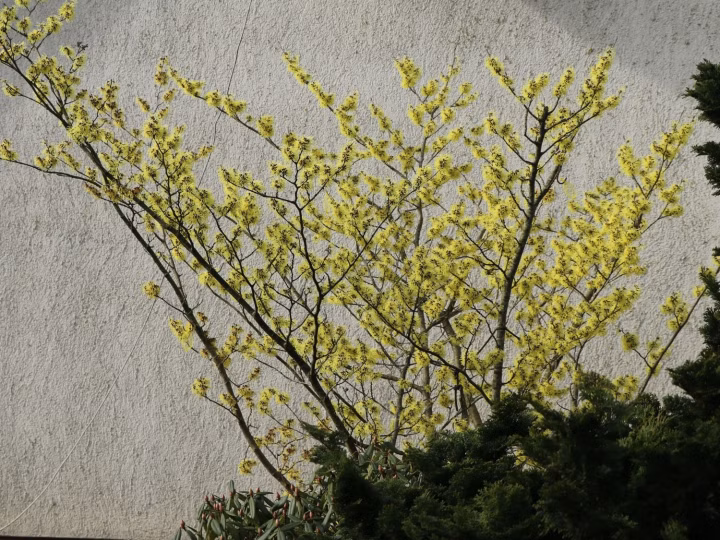 8a9a76ecf60bac77b2be389432ebd16f