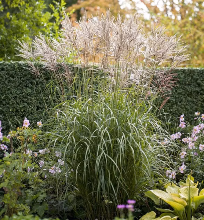 8aa4a7f9658c6c8c1e6b3c0d4cb1138d