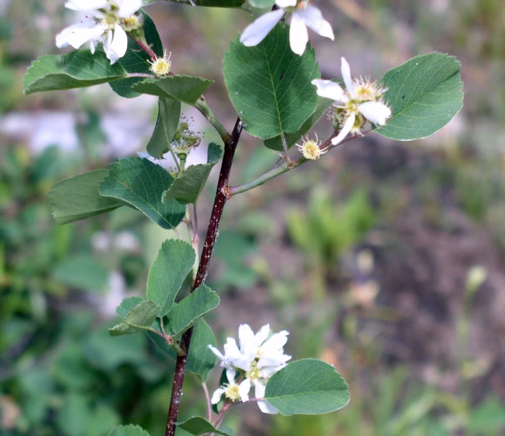 8ad8317d133a8591e233a7b9d914259d