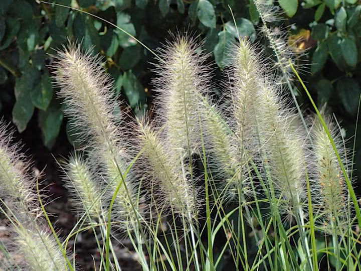 8adeb3b5250cbb0213be17a52c27aab1