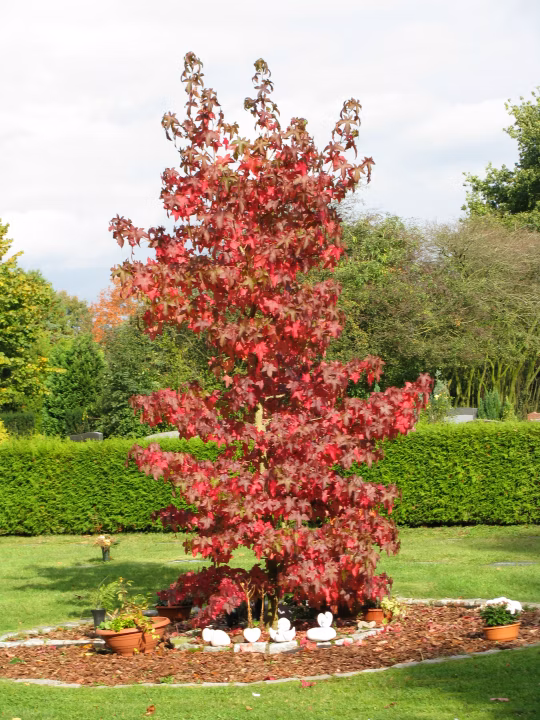 8b2134b0ed14324351a547904764bcca