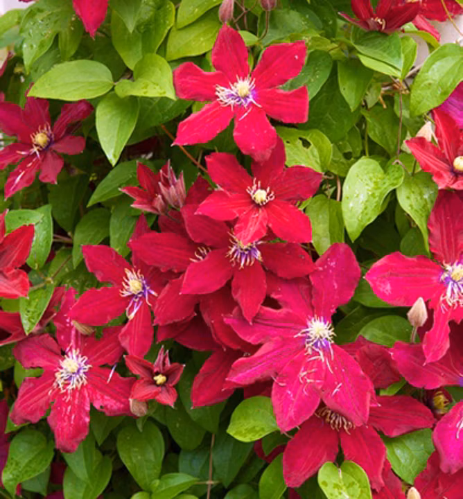 8b824e8f95fa8fba9916409b42cd6408