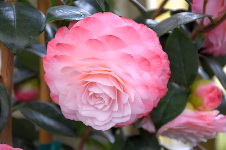 8bc93bb625ae985c00cc3e705bec97de