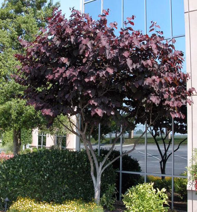 8bcf59e70b75f8137f49d05c8c3a9ed0