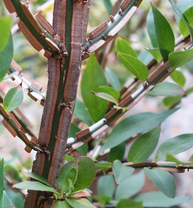 8bcffeef2392c3830d961f7dd6b7fb79