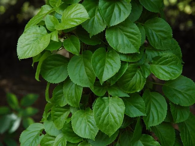 8bd73abe65b3389921149c11dff8ec89