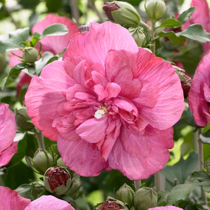 8bda88cb620720937fba7d482ed7b557