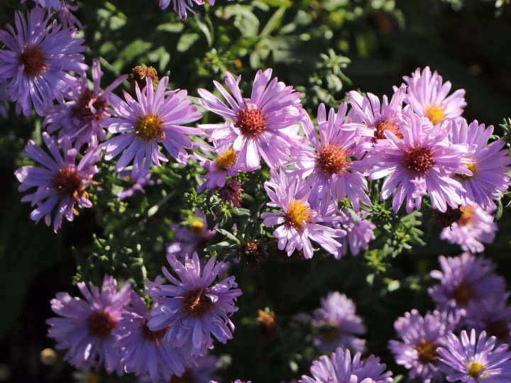 8bdf9e60f534ccda4c1a849d9ee22a5f