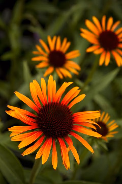 8bfd695c1757102a3e56b0756b68ec4d