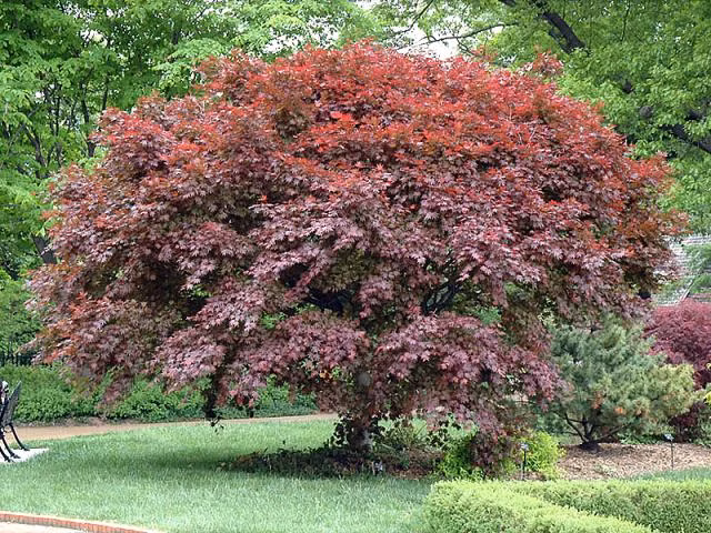 8c293f20697e29ac92de500876ccfc0e