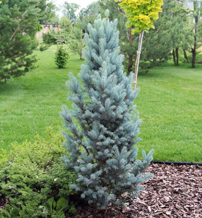 8c2c2dcc250ca8ddd50d978dc144e59d