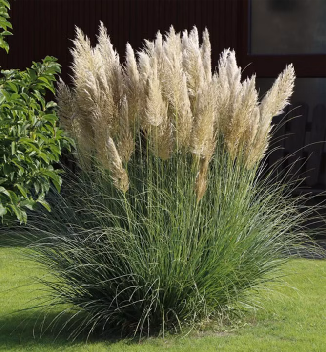 8c6f892901fa06dfcd1b8e4661dc7e37