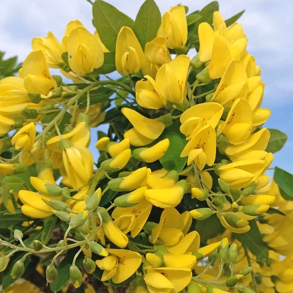 8cef9ef00715ace424c43d3ba8b878c9