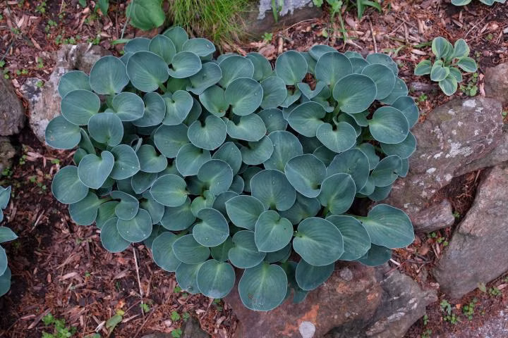 8d0aaa16a284e05fbf66a1a28e7f80dc