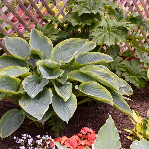 8d3ea5270fb79b12603e842c1b6a0e1b