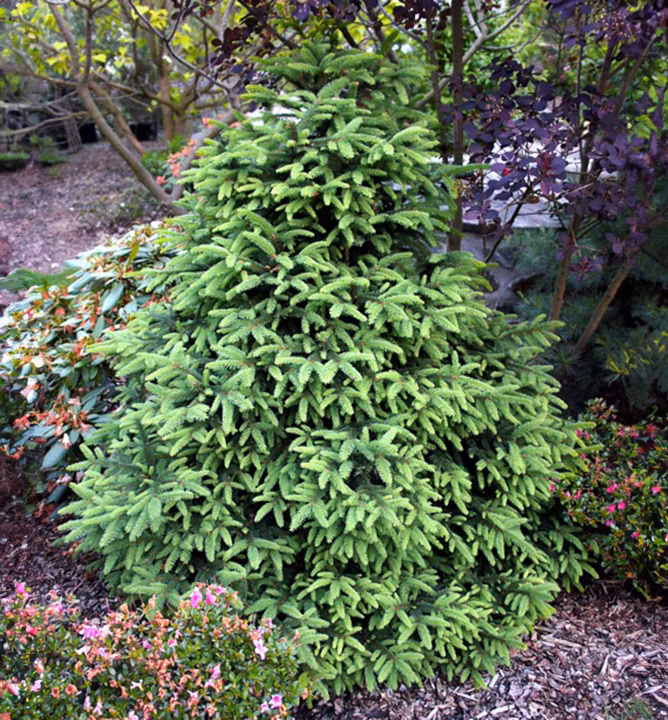 8d9e23f6e7d378eccb237dceac30579c