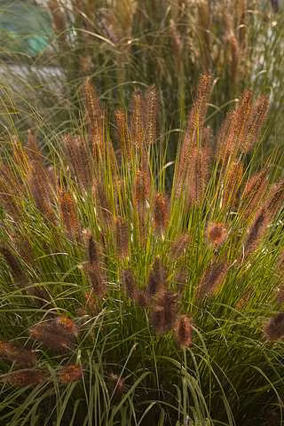 8e39fa35daf0a259442cbed0dd3da1a4