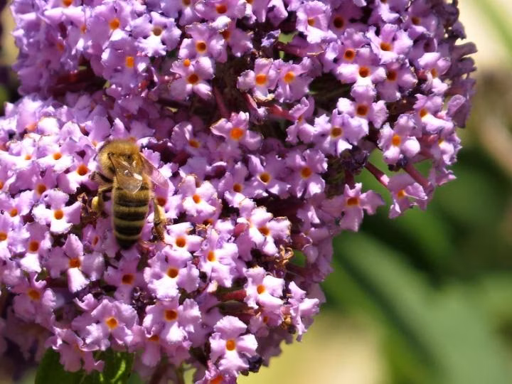 8e6d5b5b0844981390b519bcdb327a0b