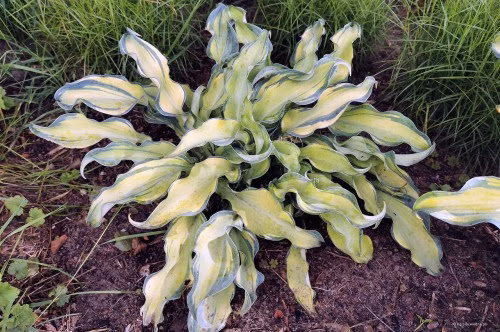 8ea389798f645cf347edb4cd8d4754de