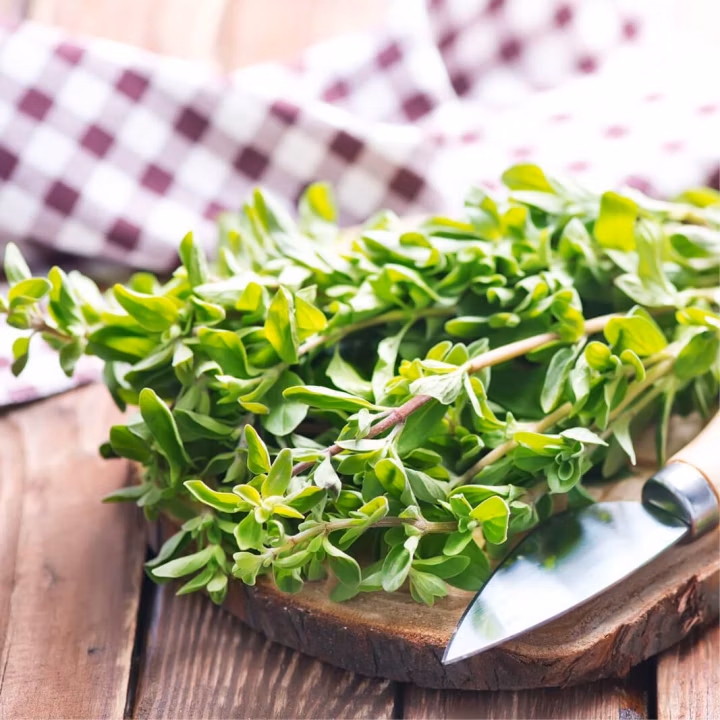 8eabc81a37c890a003962b44ccbcc525