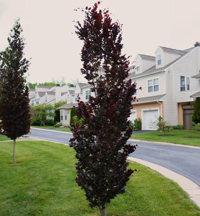 8ebdcbe7a0ce5a3bcea134e62cf846fc