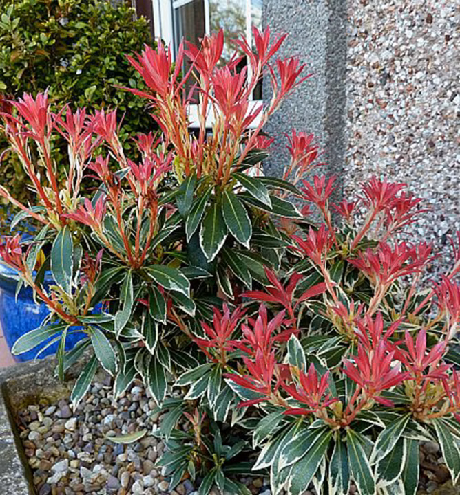 8ee77f2e028bc573dd6693a2f6bc8d9b