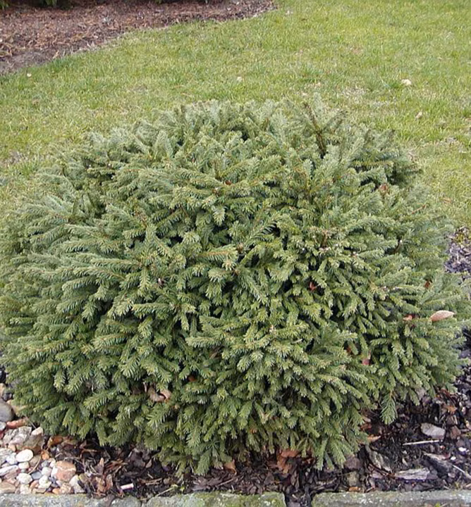 8f10a2edd9e965f800f2d3b19638fd21